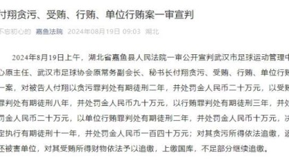 华体会动态-武汉足协原秘书长付翔获刑11年 并处罚金140万